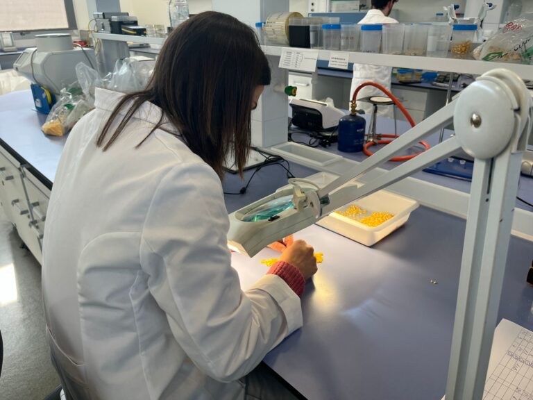 Un estudio de la UCLM revela que la brecha salarial de género es del 15 %