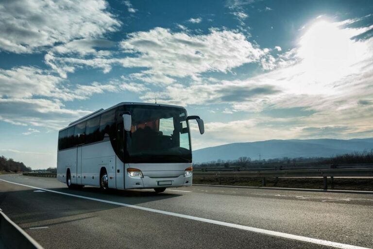 Transporte escolar gratis en Argamasilla de Alba