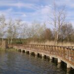 La Junta y Cooperativas Agro-alimentarias buscan soluciones para recuperar Las Tablas y la comarca del Alto Guadiana