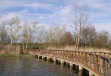 La Junta y Cooperativas Agro-alimentarias buscan soluciones para recuperar Las Tablas y la comarca del Alto Guadiana