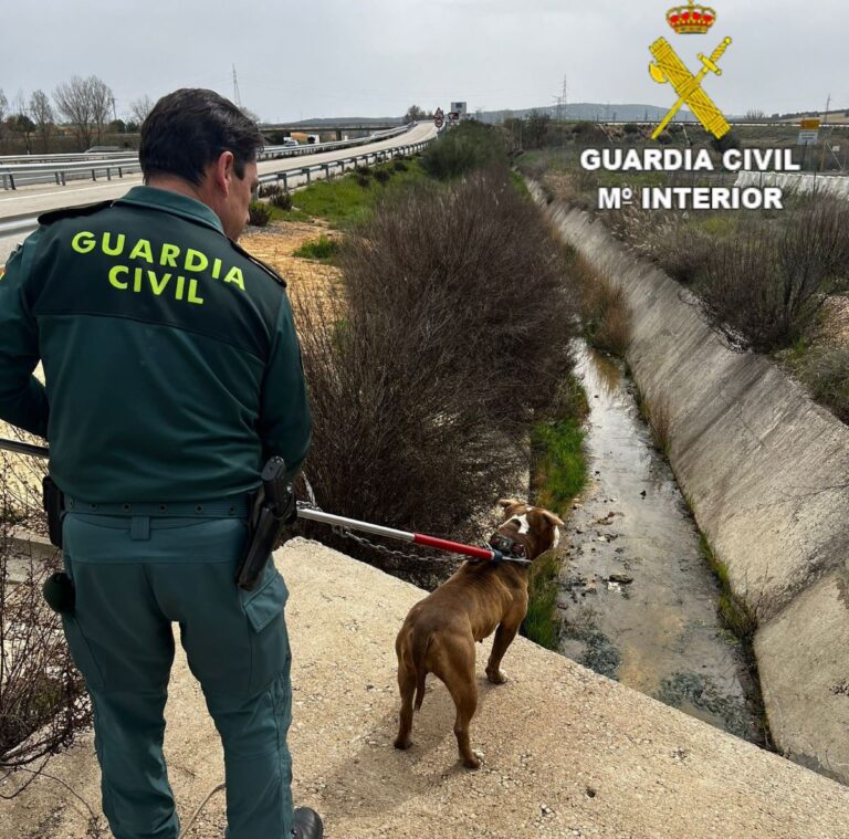 Rescatado un perro atrapado en un canal de aguas de la autovía A-3 en Zafra de Záncara