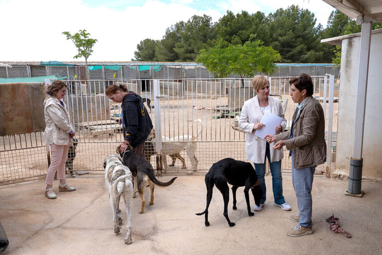 Argamasilla de Alba y APAYMA unen fuerzas para mejorar la calidad de vida de los animales abandonados