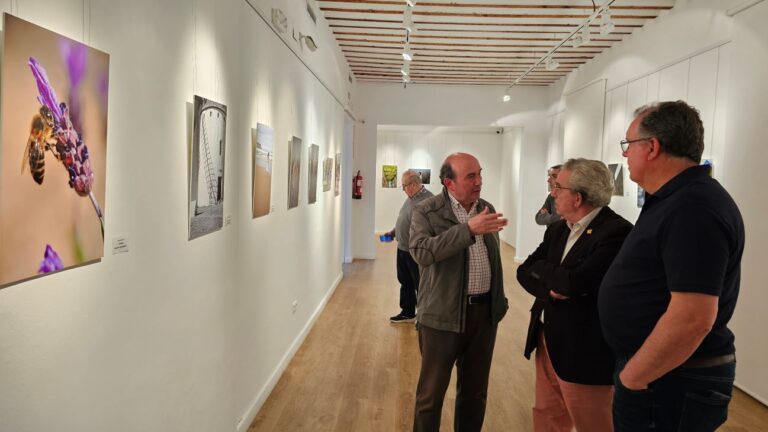 La Asociación Fotográfica Manzanares muestra su trabajo en ‘Casa Malpica’