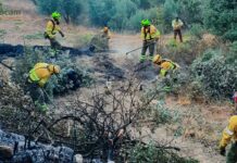 Riesgo extremo de incendio en casi toda Castilla-La Mancha este lunes