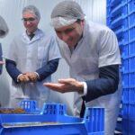 Inauguran en Cuenca la primera biorrefinería de insectos de España