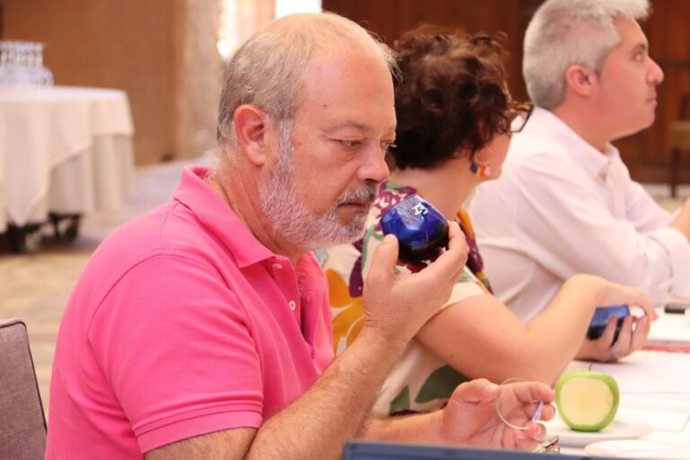 Seis regiones españolas participan en el Concurso Nacional a la Calidad del AOVE