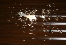 Detenidos los tres presuntos autores de dos delitos de homicidio en grado de tentativa en La Pueblanueva