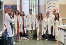 Una investigación de la UCLM avanza en la generación de nuevos fármacos para el tratamiento del cáncer