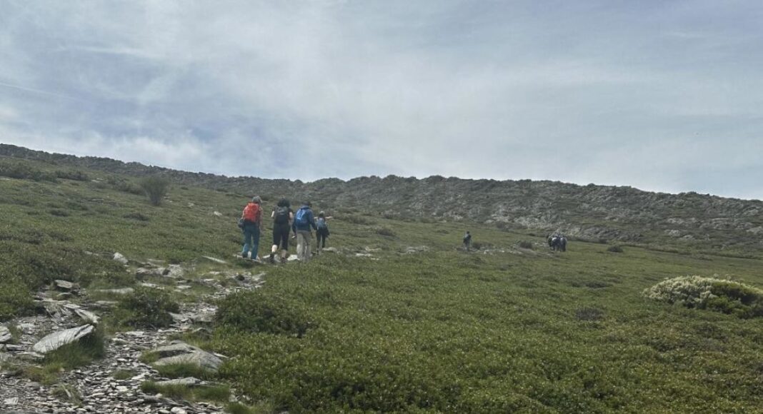 Vive tu espacio, Programa Vive tu espacio