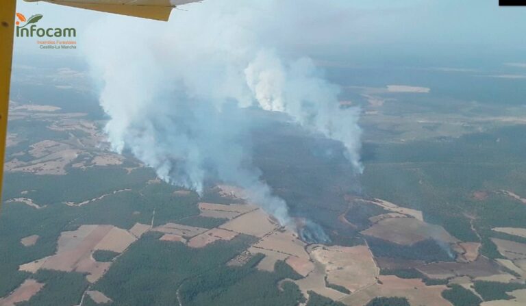 Castilla-La Mancha pide la colaboración de la UME en el fuego de Valverdejo