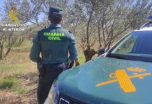 Investigan la muerte del hombre hallado en la CM-101, en Guadalajara, al no apreciar signos de atropello