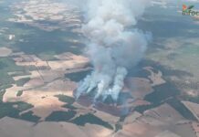 Castilla-La Mancha registra en lo que va de verano 642 fuegos, 573 de ellos conatos