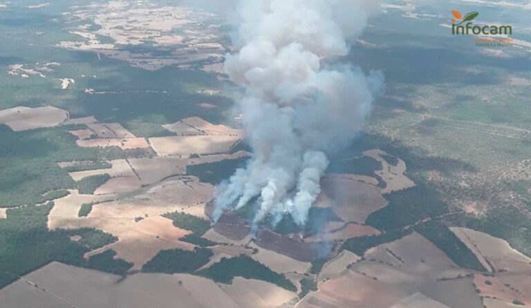 Más de 220 personas trabajan contra el incendio en Valverdejo Más de 220 personas trabajan contra el incendio en Valverdejo