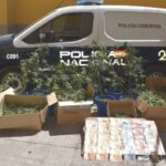 Detenido un clan familiar dedicado al cultivo ‘indoor’ de marihuana en Puertollano