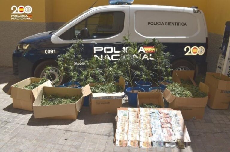 Detenido un clan familiar dedicado al cultivo ‘indoor’ de marihuana en Puertollano
