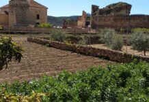 La bióloga superviviente del ‘Argos Georgia’ llegará a Socovos «muy pronto»