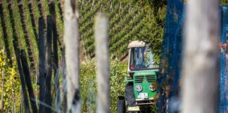 Castilla-La Mancha pagará 150 millones de euros de la PAC en diciembre