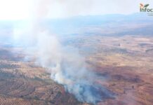 Declaradas zonas afectadas gravemente por una emergencia de protección civil a 14 CCAA, entre ellas C-LM