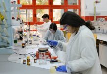 CCOO alerta de que la recuperación del paro en C-LM se estanca para las mujeres