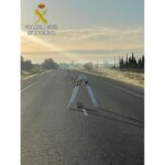 Investigados cuatro menores tras colocar obstáculos en medio de la carretera N-430 en Ciudad Real