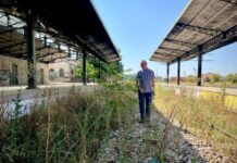 PP denuncia el «abandono» de los terrenos de la línea de tren Madrid-Cuenca-Valencia