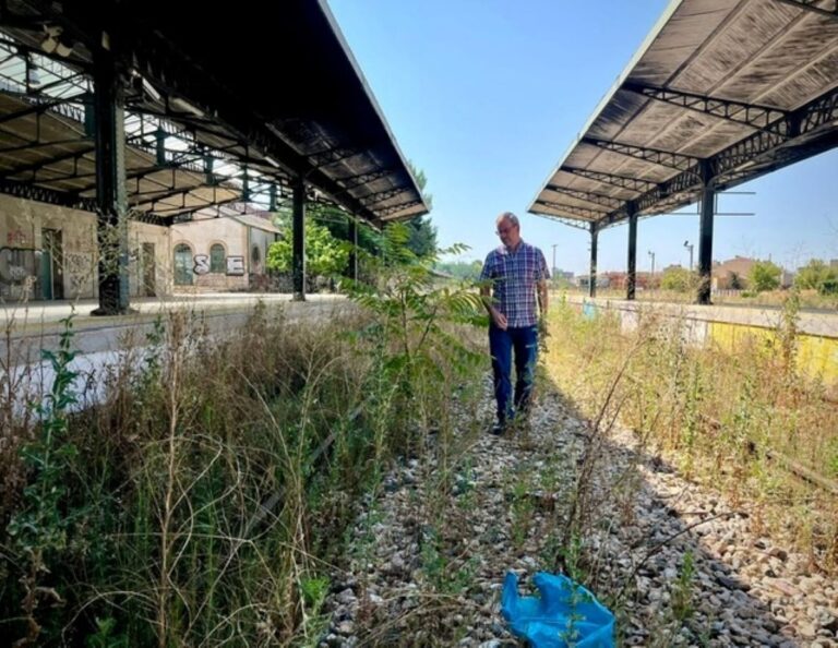 PP denuncia el «abandono» de los terrenos de la línea de tren Madrid-Cuenca-Valencia