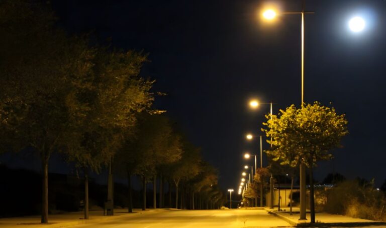 Denunciado en La Solana por conducción negligente y tener el carné caducado