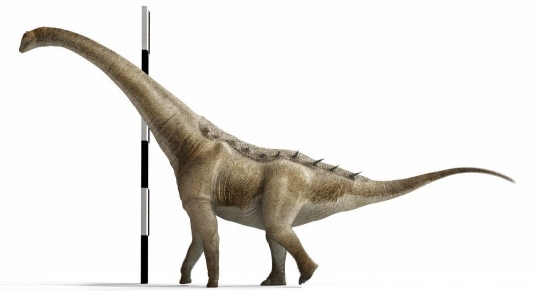 Dinosaurio descubierto en Cuenca