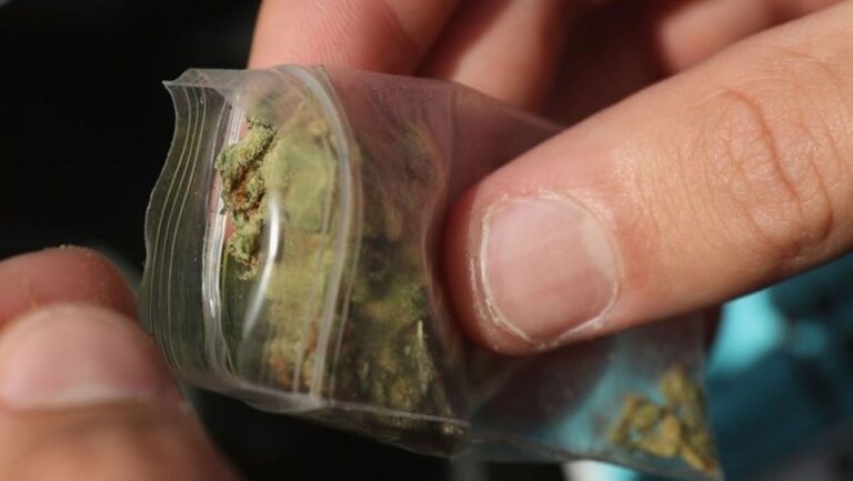 Incautadas varias bolsas con droga en distintos controles en La Solana