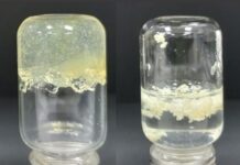 La UCLM desarrolla un hidrogel antimicrobiano para el tratamiento ecológico de frutas y de las heridas