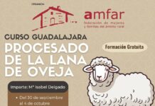 AMFAR enseña a las mujeres a procesar la lana de oveja como oportunidad de emprendimiento