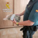 Investigados en la provincia de Cuenca tras llevar marihuana en los vehículos que conducían