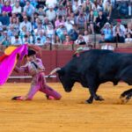 Denuncian la oferta de entradas gratis a bebés para ver los toros en Daimiel