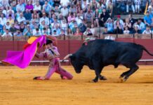 Denuncian la entrada gratis de niños a la novillada de Casarrubios del Monte