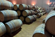 C-LM tenía un 43 % de existencias vino y mosto al fin de 2024 pero produjo un 62 % del total