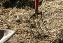 C-LM reivindica un marco financiero europeo que garantice sostenibilidad de ganadería y agricultura