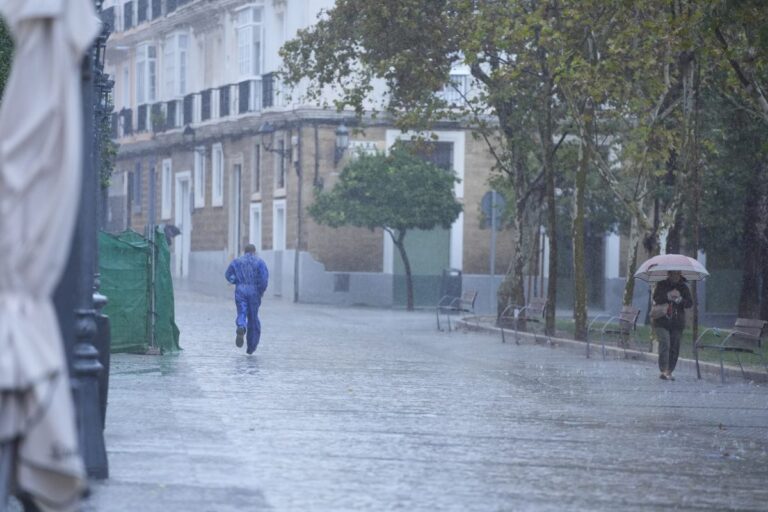 Desprendimiento en la Variante del Minero, cinco casas colapsadas y 52 incidencias en arbolado por el temporal en Puertollano