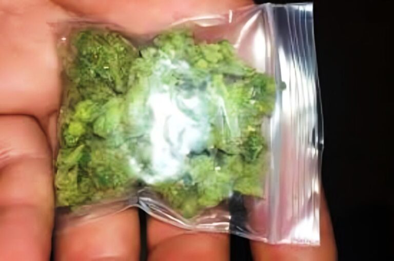 Varias denuncias por tenencia de marihuana este fin de semana en La Solana