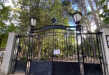 Varias ciudades de C-LM cierran sus parques por las fuertes rachas de viento