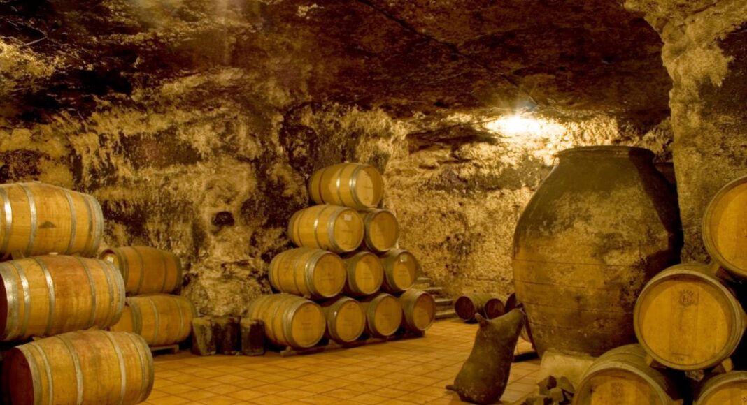 Secanos Vivos, primeros vinos de Secanos Vivos