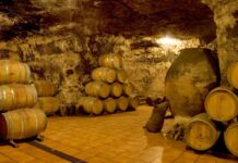 Comienzan a elaborar los primeros vinos de Secanos Vivos, proyecto de SEO BirdLife en zonas vitivinícolas de España