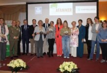 C-LM prepara cinco convocatorias de ayudas de cerca de 700.000 euros para víctimas de la violencia machista