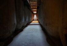 Los vinos DO La Mancha preparan el Día Mundial del enoturismo