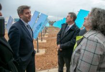 Page llama a que el negocio de España no sea ser «la planta fotovoltaica del planeta» sino la cuna de su industria
