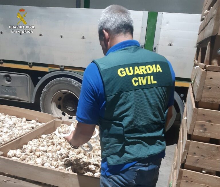 Cuatro investigados por estafar en la venta de ajos en El Pedernoso, dos de ellos socios de la empresa estafada