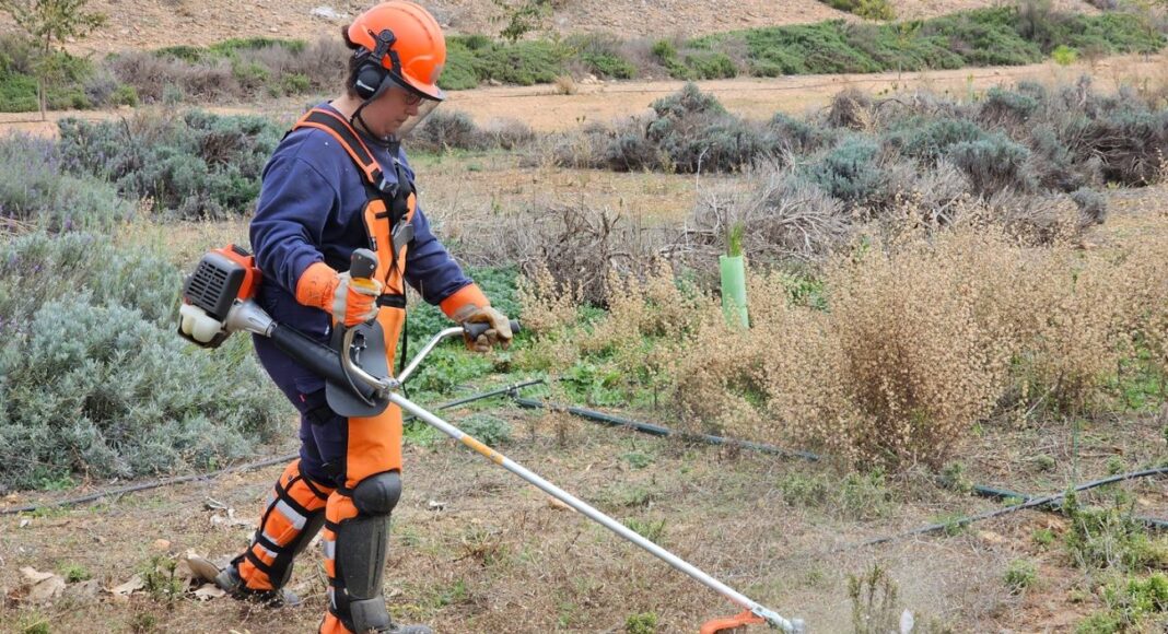 Programa Tandem en Manzanares