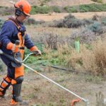 El alumnado del programa ‘TánDEM’ trabaja en el mantenimiento del barrio industrial de Manzanares