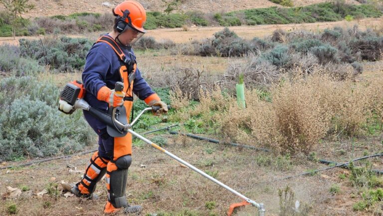 El alumnado del programa ‘TánDEM’ trabaja en el mantenimiento del barrio industrial de Manzanares