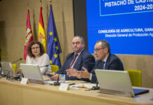 Castilla-La Mancha presenta un plan para reforzar el cultivo del pistacho a largo plazo