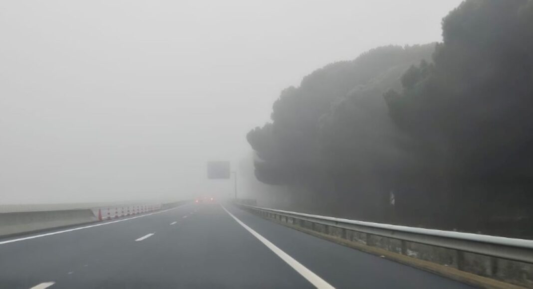 niebla